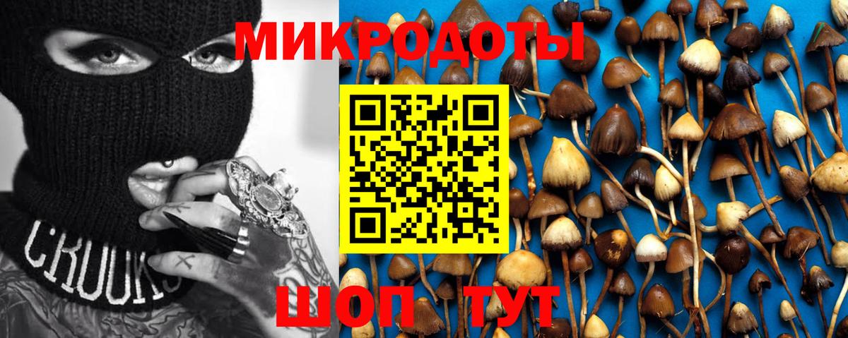 Дивногорск  Галлюциногенные грибы прущие грибы  Вход с VPN 