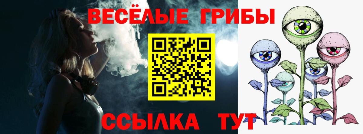 Псилоцибиновые грибы прущие грибы Дивногорск
